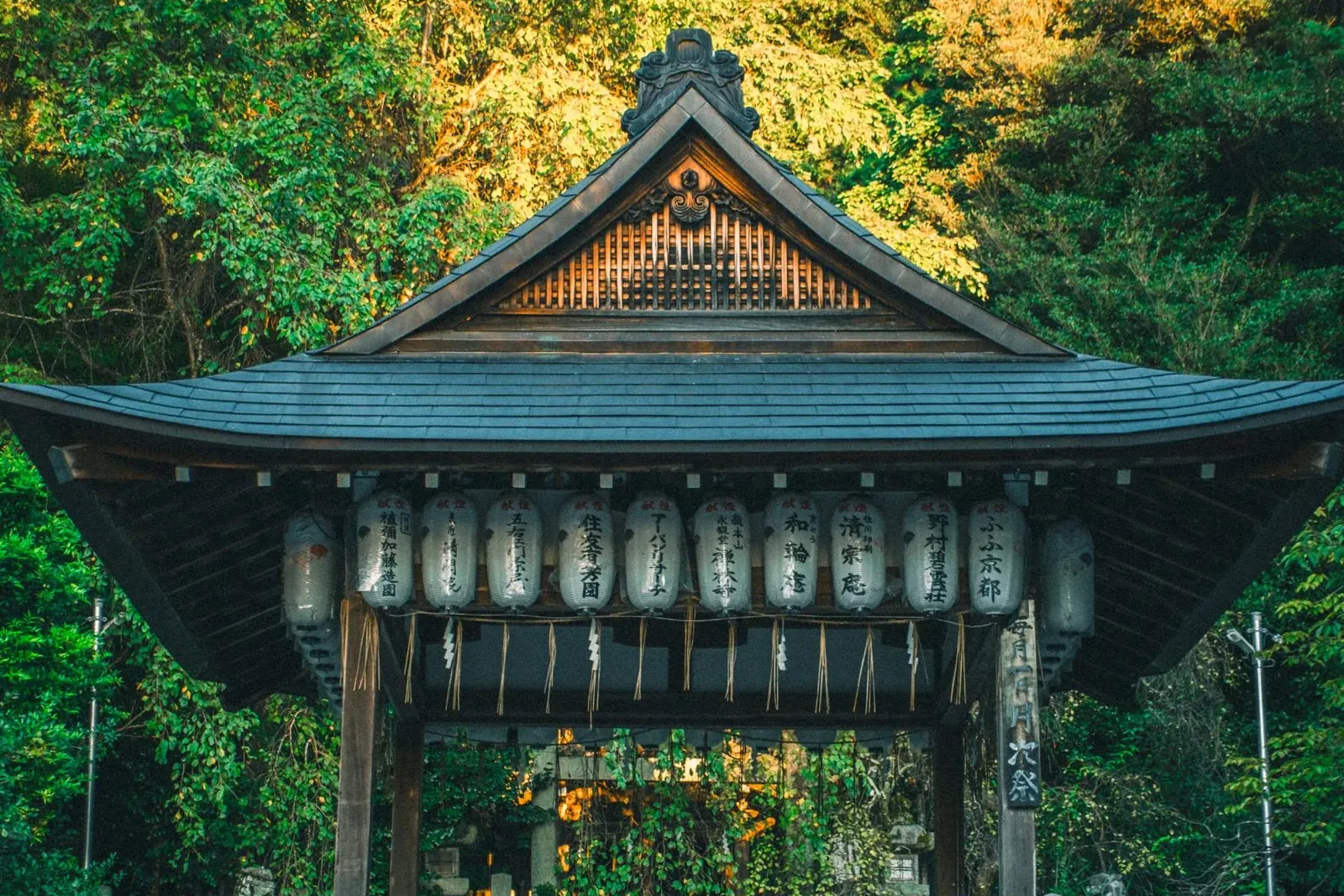 Wooden Shinto shrine among trees with hanging lanterns
